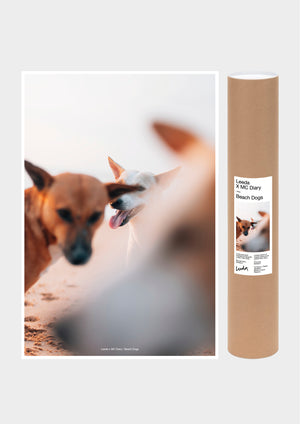 LEEDA X MC DIARY - POSTER 1 - LIMITED EDITION